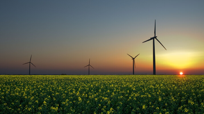 Stel dat we van de zon en de wind gaan leven